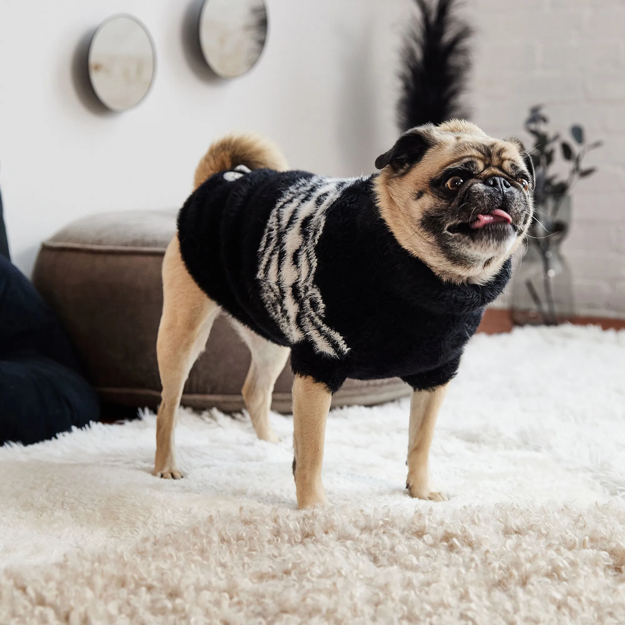 Fuzzy Dog Sweater | Black