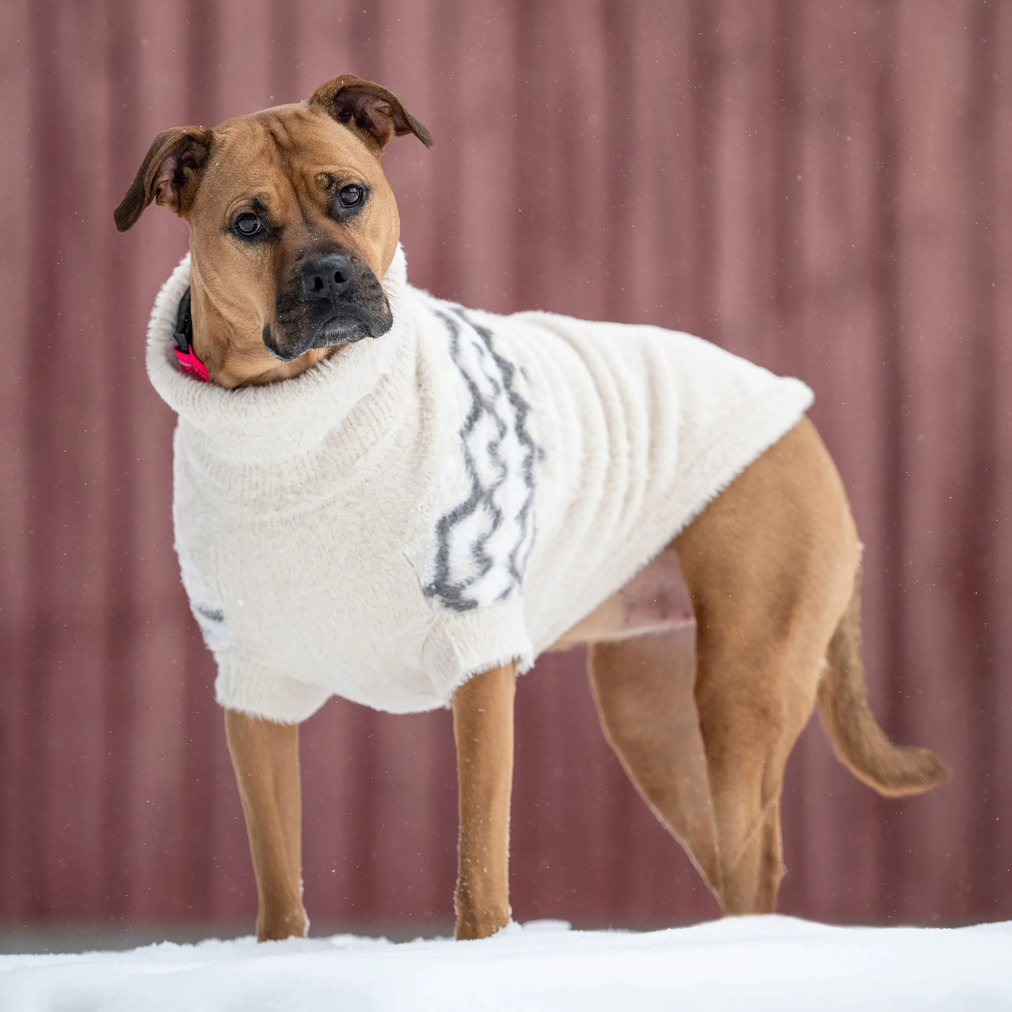Fuzzy Dog Sweater | Sand