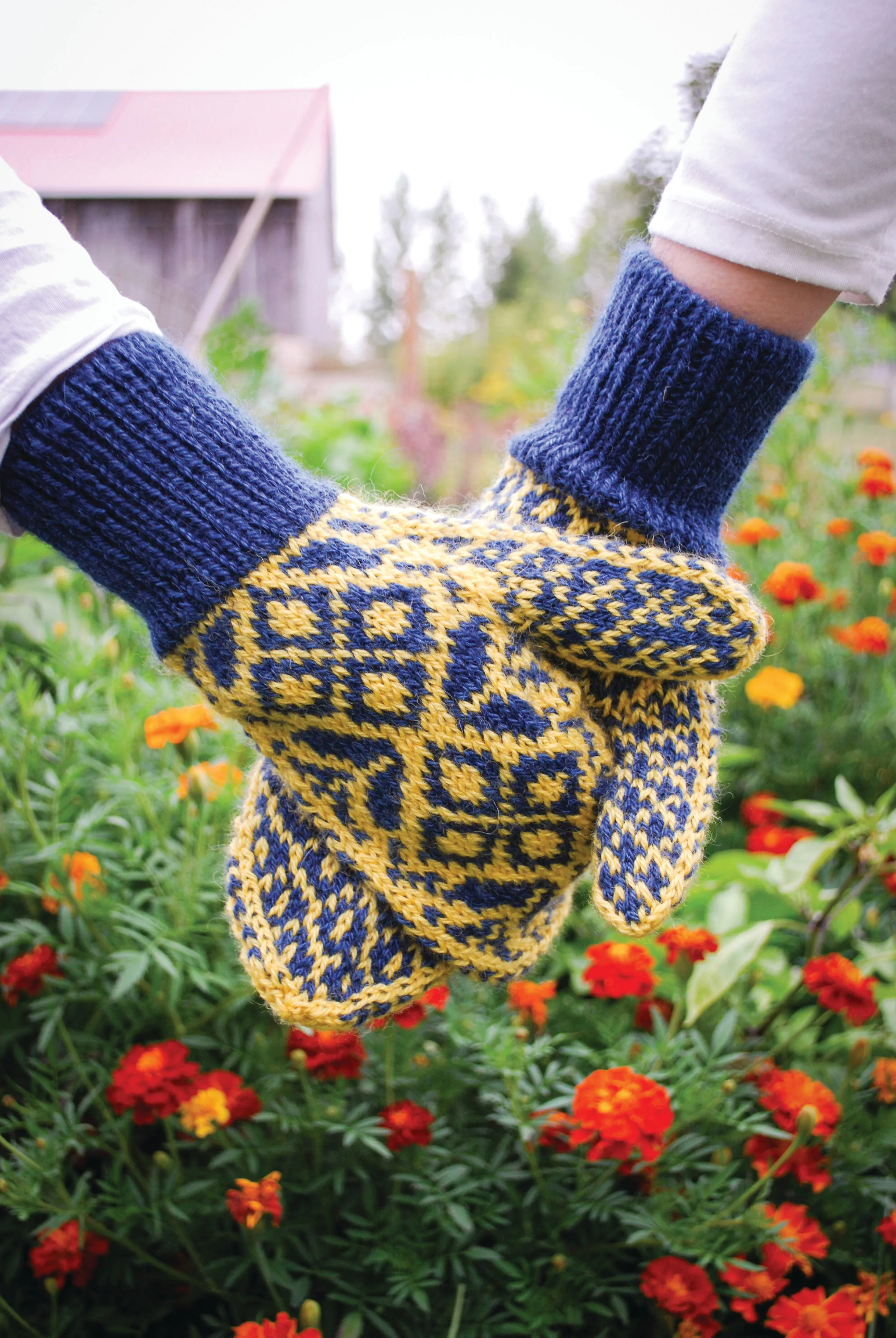 Story Maker: an illustrated book of knitting, fibre & fable (PRINT EDITION)